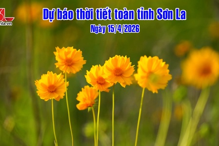 Dự báo thời tiết toàn tỉnh Sơn La ngày 15/4/2026