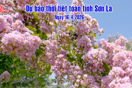Dự báo thời tiết toàn tỉnh Sơn La ngày 16/4/2026