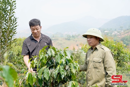 Mường Bám vươn lên từ thay đổi tư duy sản xuất