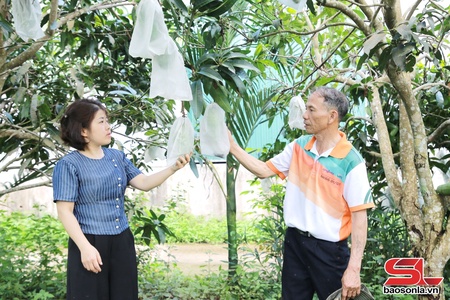 Chiềng Sơn phát huy thế mạnh phát triển kinh tế