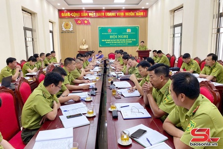 Tiếp nhận, giải quyết tố giác về tội phạm trong lĩnh vực lâm nghiệp