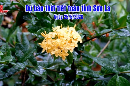 Dự báo thời tiết toàn tỉnh Sơn La ngày 25/5/2026