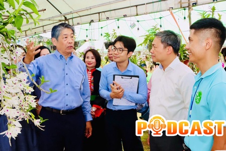 Bản tin Podcast ngày 7/6/2026