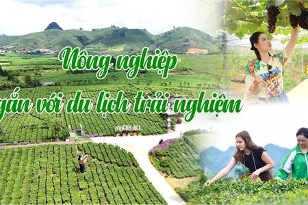 Nông nghiệp gắn với du lịch trải nghiệm