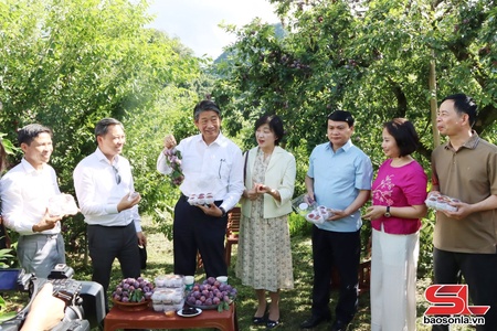 Ngoại giao kinh  tế - mở rộng cơ hội phát triển