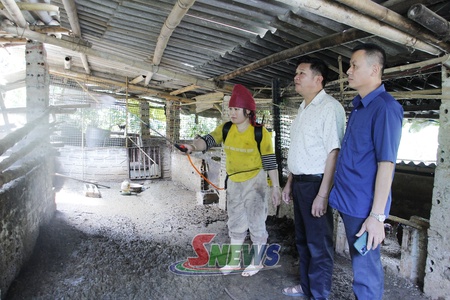 Quyết liệt ngăn dịch tả lợn châu Phi