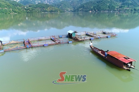 Sức sống mới ở Tân Phong