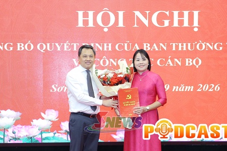 Bản tin Podcast ngày 15/9/2026