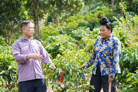 Mường Khiêng tập trung phát triển kinh tế