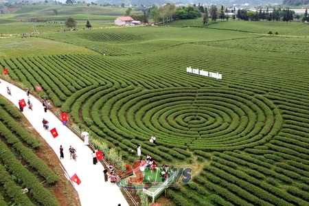 Bình Thuận phát triển kinh tế nông nghiệp kết hợp du lịch sinh thái
