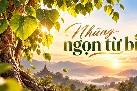 Truyện Podcast: Những ngọn từ bi