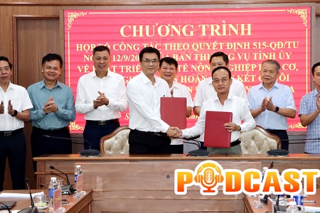 Bản tin Podcast ngày 6/10/2026