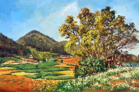 Mộc Châu mùa hoa cải