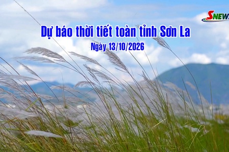 Dự báo thời tiết toàn tỉnh Sơn La ngày 13/10/2026