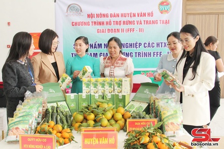 Son La’s agricultural products conquer domestic, international markets