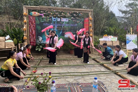 Van Ho district tourism week features multiple activities 