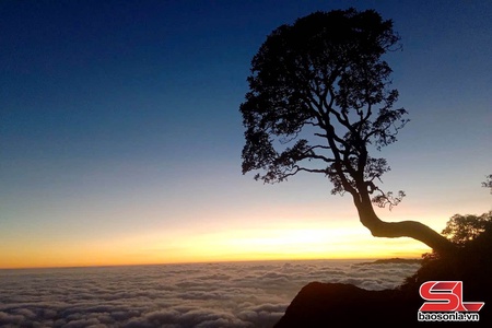 Conquering Phu Sa Phin peak