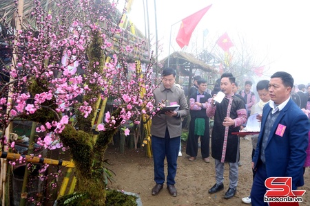 Cultural space at Long Luong Peach Blossom Festival