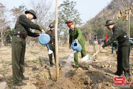 Son La city Military Command launches tree planting festival