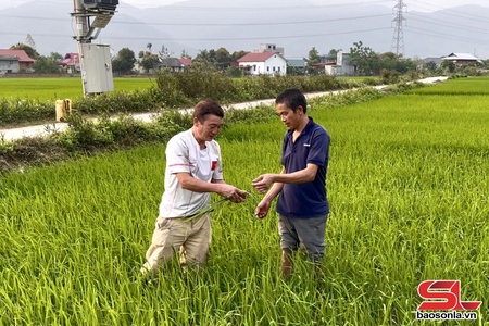 Huy Hạ por hưv jông blêx liax chiv ntux yiaz