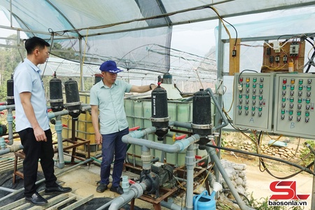 Son La optimises technology in agricultural production 