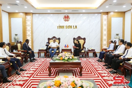 Haitian Embassy delegation visits Son La province