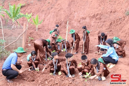 Son La children learn to be farmers 