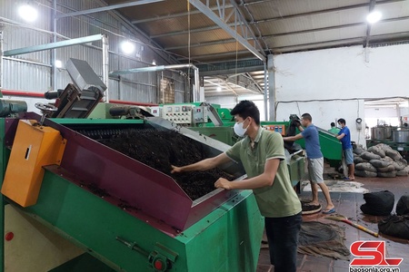 Son La’s export value reaches nearly 102 million USD