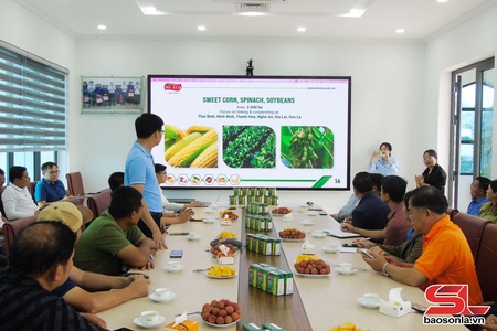 Lao officials visit agricultural models in Mai Son district