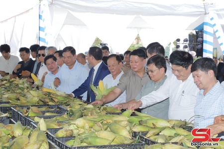  Àu khảu chuông hong chuông máy dệt phắc hòm mák nuối xáư hộp chỉa nẳng Sơn La