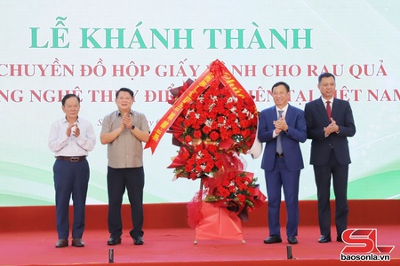 Paper-based packaging line for vegetables, fruits inaugurated in Son La