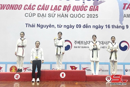 Son La wins 10 medals at National Taekwondo Club Championship – Korean Ambassador’s Cup 2025
