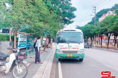 Transport revenue surpasses 2.74 trillion VND