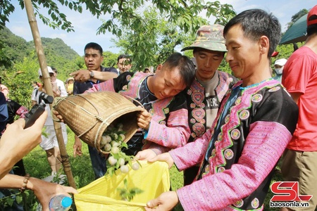 Nuôv zax Sơn La huôv tsar tâu jông