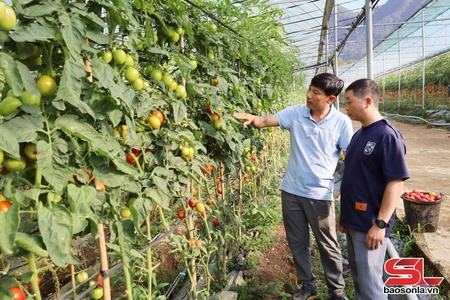 Ngọc Chiến mả pe cạ khài, chuông hong vịa qua ỉn