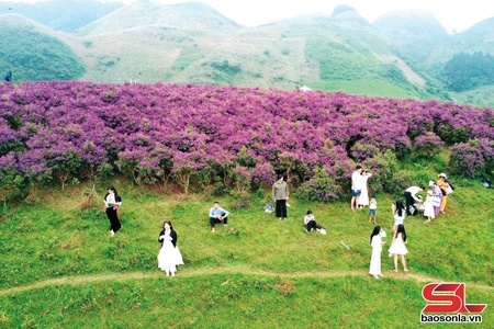 Van Ho welcomes over 20,000 tourists