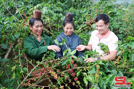 Đê trơưk tsưr ziv - tsưx truôx côngz bê “Cà phê Sơn La”