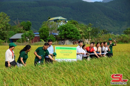 Delegation from Irish Embassy in Vietnam visits Phu Yen commune