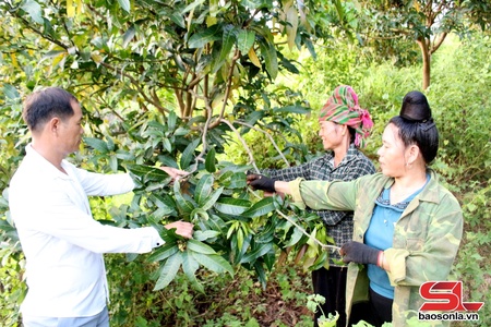 Tạk khù ngai đì hảư po hay me ne mả pe dệt dượn 