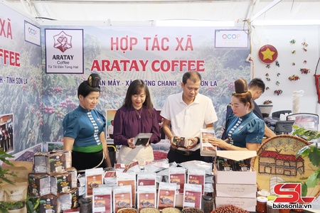 Son La attracts investment to develop commercial infrastructure