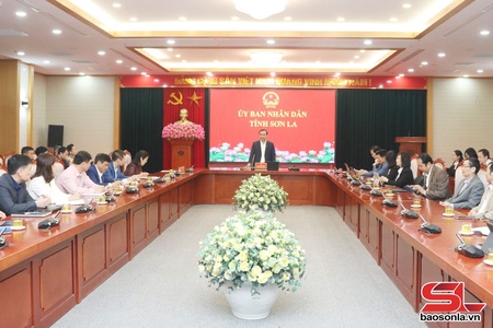 Standing Vice Chairman of provincial People’s Committee works with Health Department
