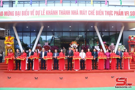 Muôz lok zôngv Tsêr máy uô jâuz, kol, txir VFI Sơn La