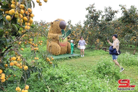  Cạt kiên mả pe cạ khài, dịch vụ cánh qua ỉn 