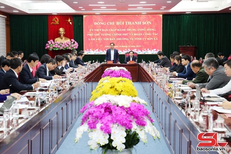 Deputy PM works with provincial Party Committee’s Standing Board