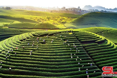 Qơư nuôv zax têz qơưk Mộc Châu Jias tiv 3 tâu kruôk zos Thax qơư tâu chôngz lênhx nênhs nhiav tuôx tiv iz ntiax têz.