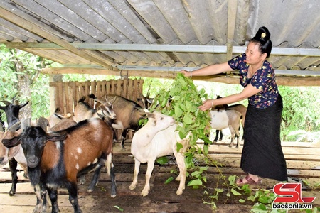 Huôv tsar cêr siz tưr pox niav thax tsav tsênhv txov nhêv