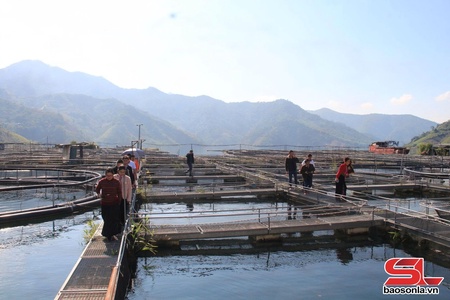  Lăm le nả vịa qua ỉn nẳng phổng nòng lừng nặm te thủy điện Sơn La