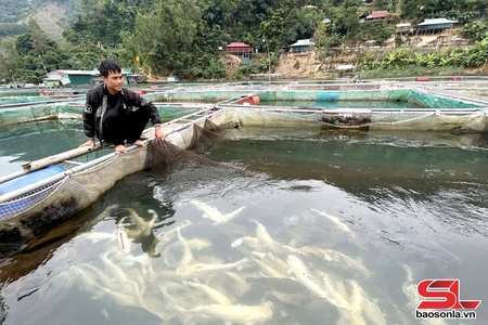 November aquaculture output reaches 685.2 tonnes