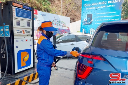 192 new enterprises established in Son La in November