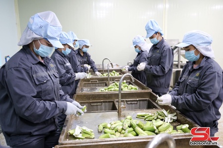  Niếu chưa dòm ngơn cốc ằn pâng púc chuân mả pe dệt dượn